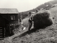 Rodinná chalupa v Krkonoších – Jana Kautská balíkuje seno, 1971