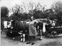 Mother Marie, father Metoděj and brother Miloš in Radomilov, 1936