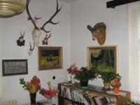 Interior of a room in the Osladil's house