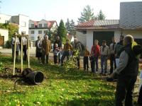 Planting a Ginkgo Biloba tree on 12.10.2008