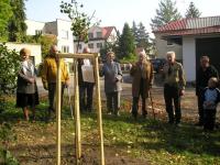 Planting a Ginkgo Biloba tree on 12.10.2008