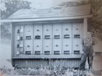 Father at the bee hive which the family hid under in May 1945