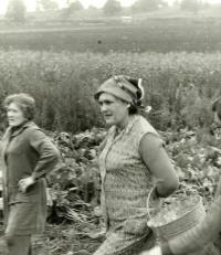 Anna Šubová at work in Dolní Dunajovice