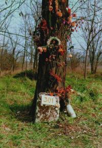 No. 301 plot of the new public cemetery, 1985