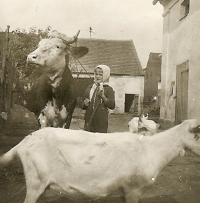 Marie in Heřmanova Huť, 1959