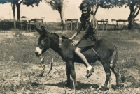 Jamboree in Romania, 1936