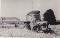 Grain harvest