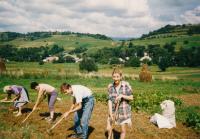 Field work 1992 KOLONICA